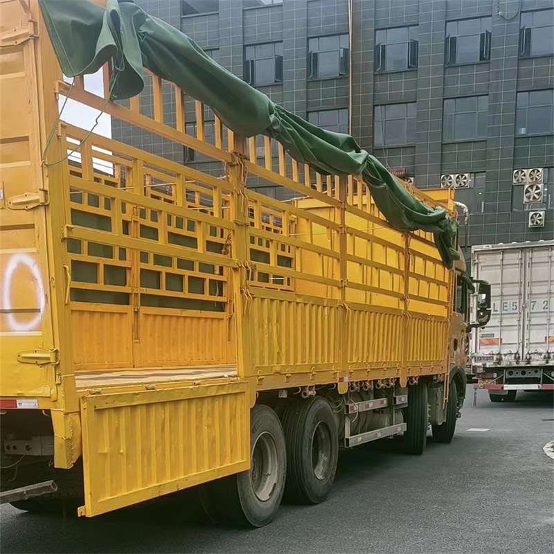 霞山区兰州市物流运输：多元服务与高效线路探秘