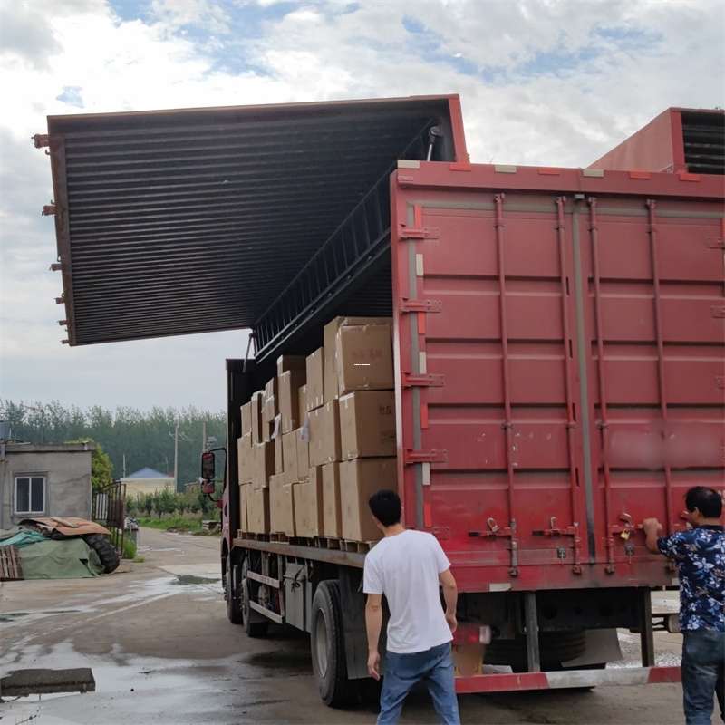 霞山区昭化区物流专线：开启高效运输新旅程